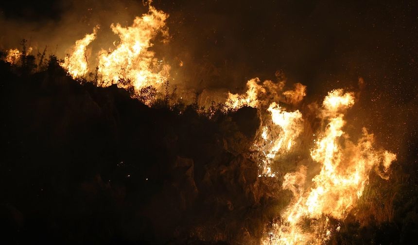 İtalya’nın Sicilya Adası’nda orman yangınları sürüyor