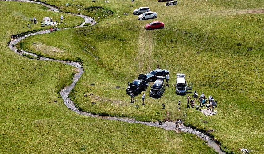 Karadeniz'in zirvesindeki yaylalar ziyaretçilerini ağırlıyor