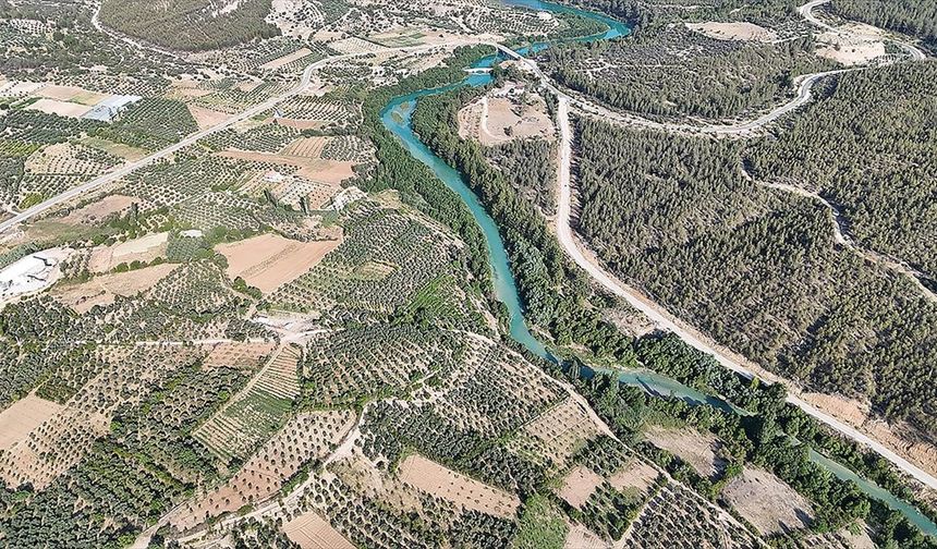 Kuraklıktan etkilenen zeytin bahçeleri devlet desteğiyle kurulan sulama sistemiyle hayat buluyor