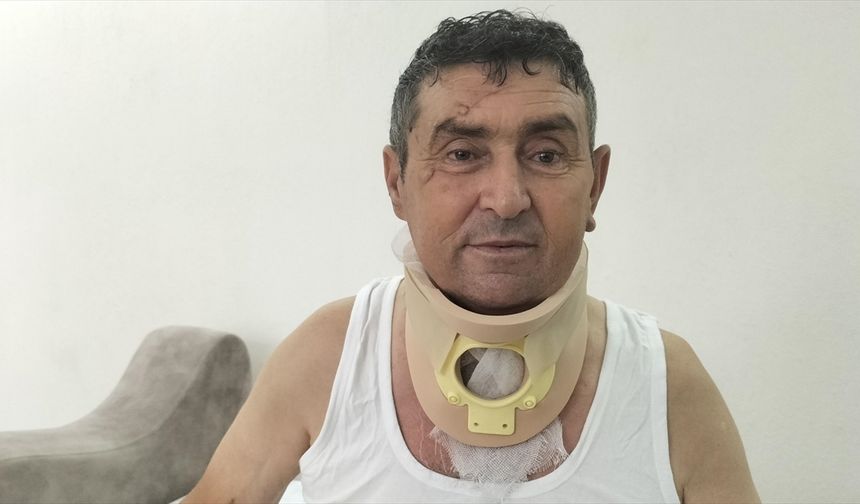 Manavgatlı çiftçi, kendisini yaralayan aslanın öldürülmesinin üzüntüsünü yaşıyor