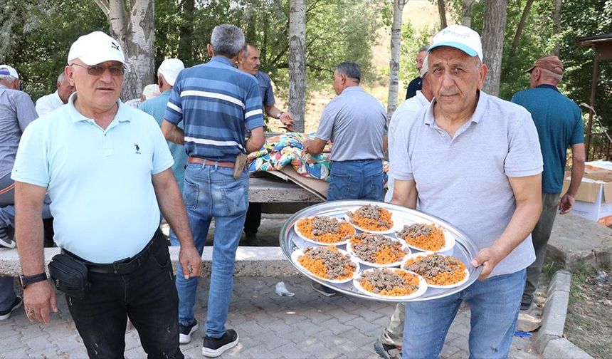 Memleket özlemlerini "Gurbetçiler Pilav Festivali" ile dindiriyorlar