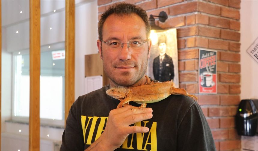 Omuzlarda gezen "Ökkeş" adlı iguana beldenin maskotu oldu