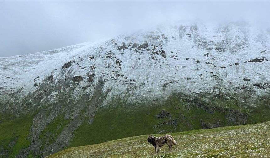 Rize, Trabzon ve Bayburt'un yüksek kesimleri temmuzda beyaza büründü