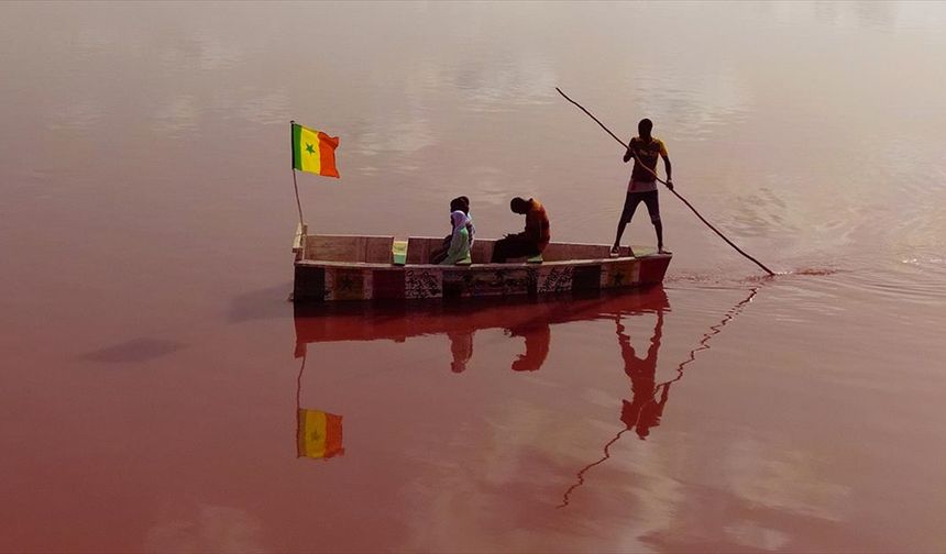Senegal'de aşırı yağışlar nedeniyle yeşillenen Pembe Göl sonunda rengine kavuştu