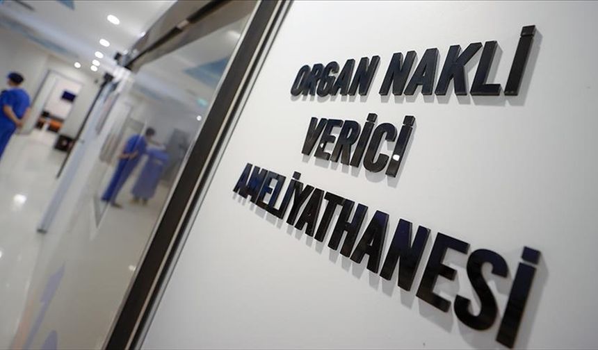 Türkiye "canlı vericili nakiller"de dünyada böbrekte ilk, karaciğerde ikinci sırada