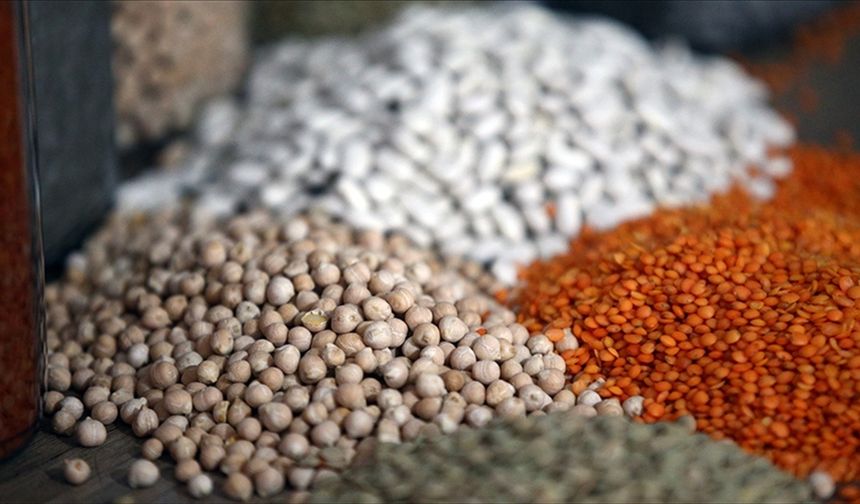 Türkiye'nin hububat ve bakliyat ihracatı yılın ilk yarısında yüzde 4,5 arttı