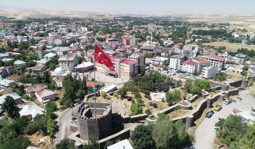 Akademisyenler, Malazgirt Kalesi'nin tarihi dokusunu gün yüzüne çıkarıyor