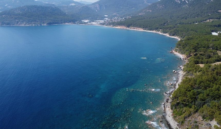 Akdeniz'deki ısınma ekosistemi yeniden şekillendiriyor
