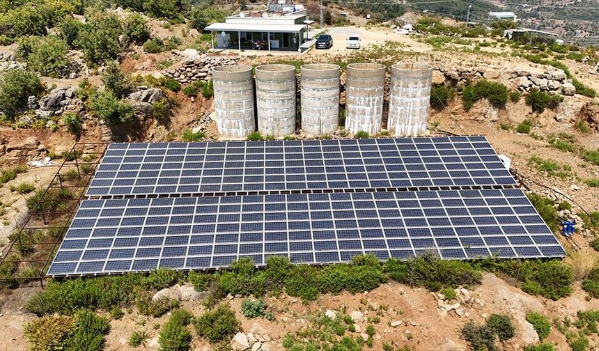 Antalya'da tropikal meyve bahçelerine kurulan GES enerji maliyetlerini düşürdü