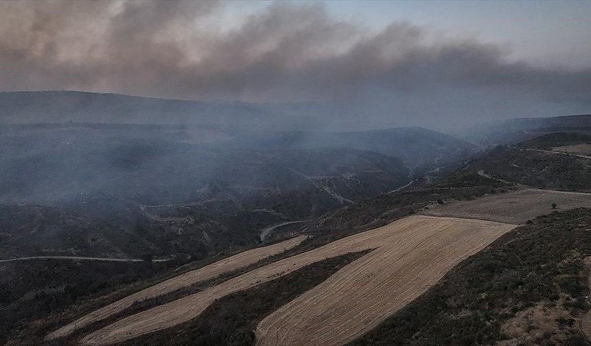 Çanakkale'nin Gelibolu ilçesindeki orman yangını kontrol altına alındı