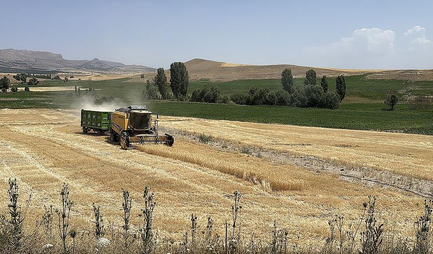 Ekili tarım arazisi yüzde 22 artan Kayseri'de üretici sayısı 32 bine ulaştı