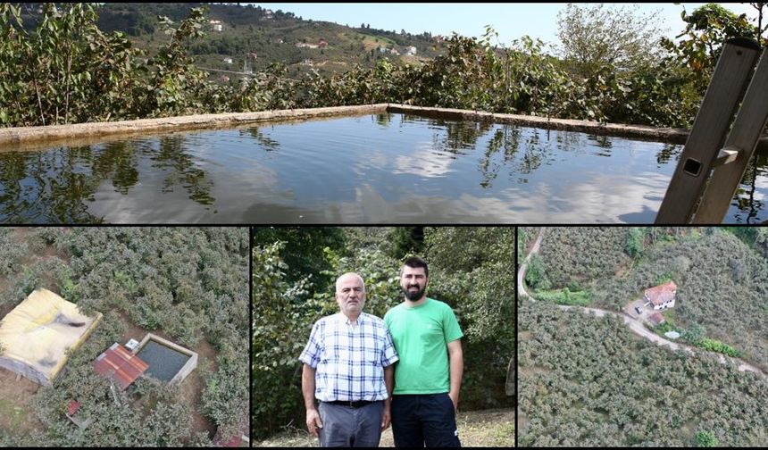 Giresun'da fındık bahçesine damla sulama sistemi kuran baba oğul verimi iki kat artırdı