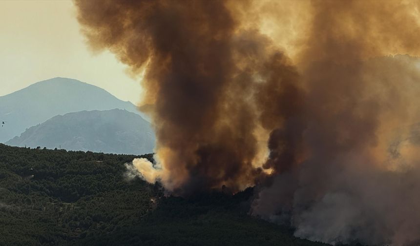 İspanya'daki yangınlarda 1 kişi öldü, 5 binden fazla kişi geceyi dışarıda geçirdi