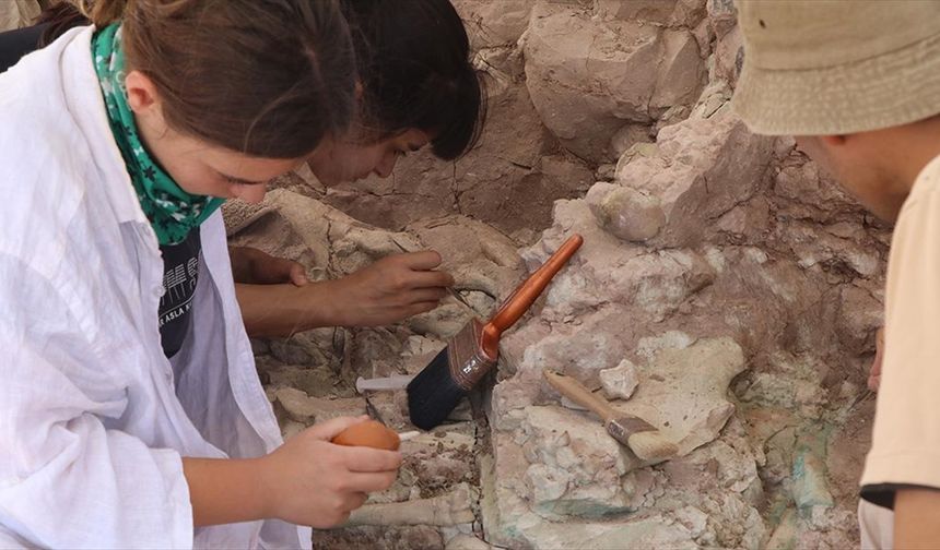 Kavurucu sıcaklarda 9 milyon yıllık fosillerin izini sürüyorlar