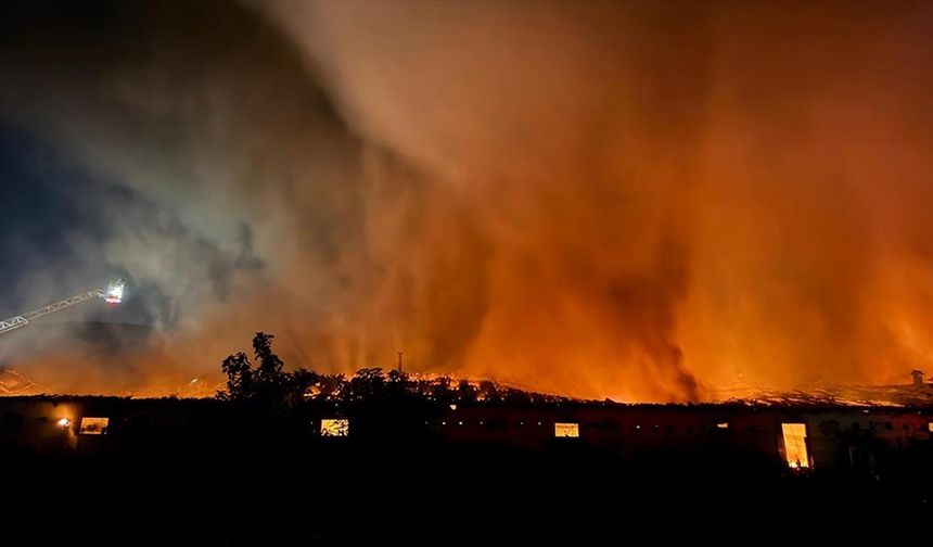 Sakarya'da boyahanede çıkan yangına müdahale ediliyor