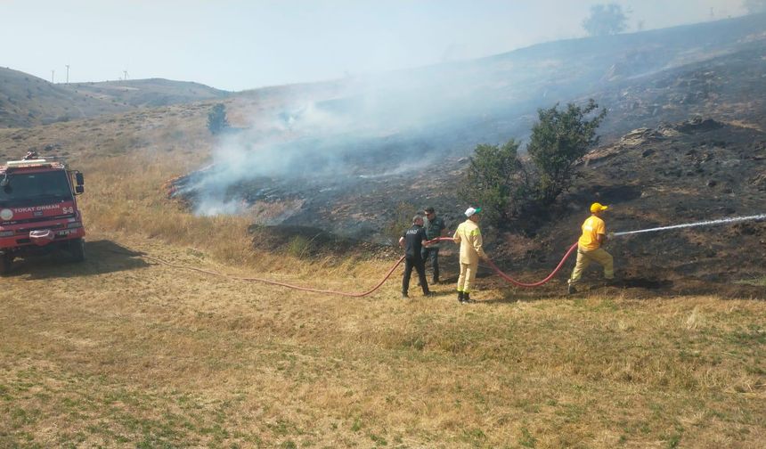 Tokat'ta çıkan yangında 10 dönümlük alan zarar gördü