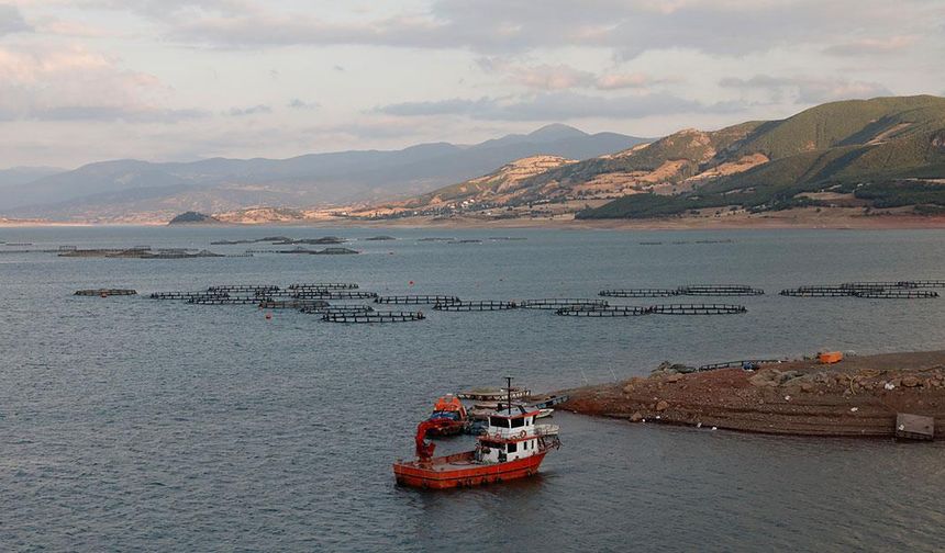 Tokat'tan Norveç, Hollanda, Rusya ve Japonya'ya balık ihracatı
