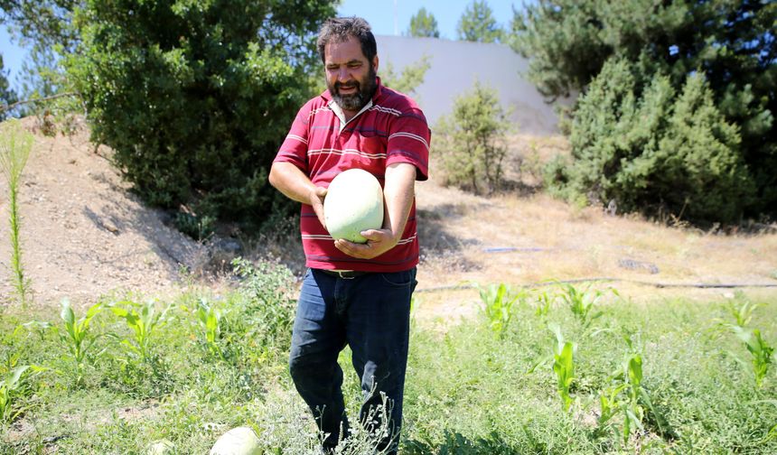 Yakınlarını kanserden kaybedince organik tarıma yönelerek üretici oldu