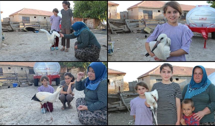 Yaralı leylek "Su"ya Yozgatlı aile sahip çıktı