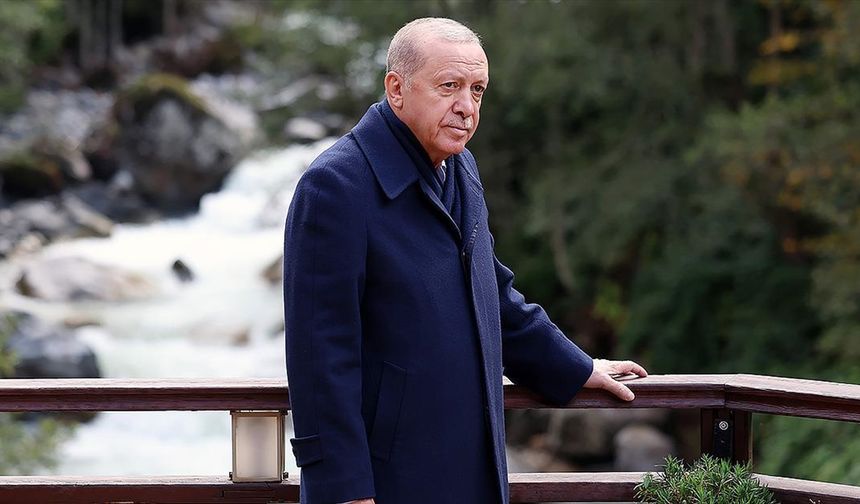 Cumhurbaşkanı Erdoğan, Ayder Yaylası'nda incelemede bulundu