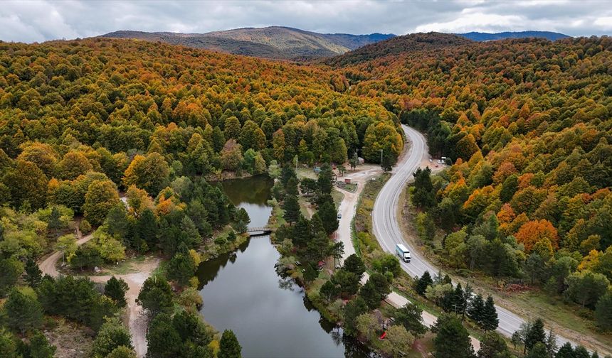Domaniç Dağları sonbaharın renklerine büründü