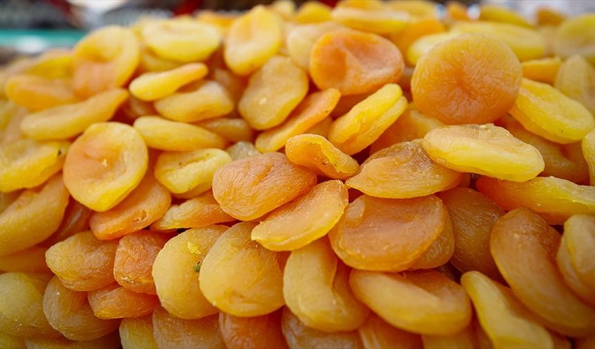 Malatya 'mişmiş' ile dünyanın ağzını tatlandırıyor