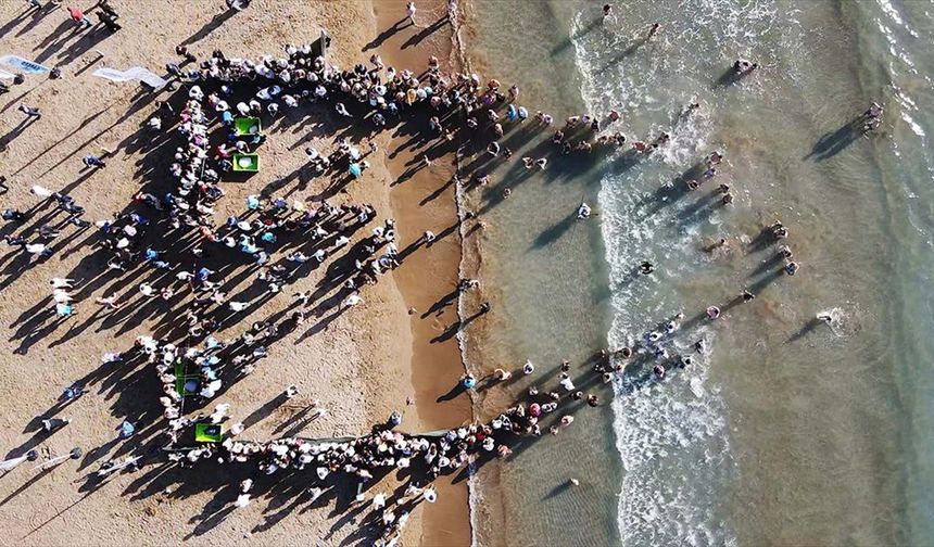 Muğla'da tedavileri tamamlanan deniz kaplumbağaları denizle buluştu