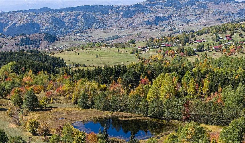 'Sakin şehir' Şavşat'ta sonbahar rengarenk