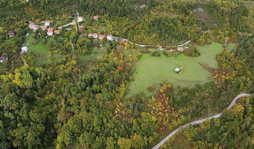 Sinop'ta sonbahar güzelliği seyirlik manzaralar sunuyor