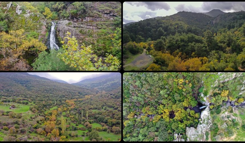 Yunt Dağları'ndaki ağaçlar hazan rengine büründü