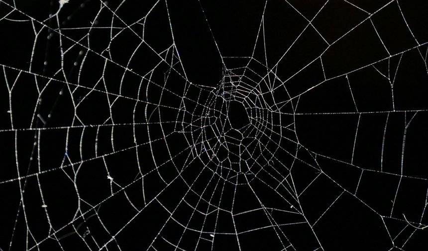 Arnavutluk-Yunanistan sınırında bir mağarada 'dünyanın en büyük örümcek ağı' bulundu