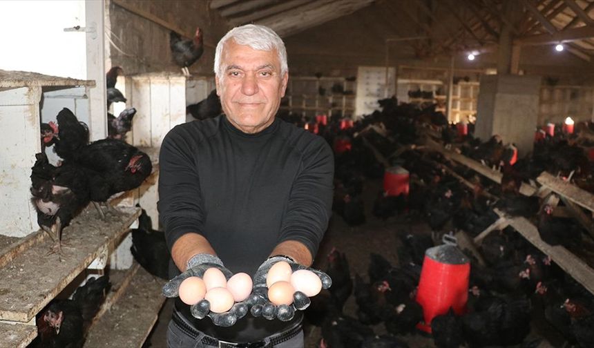 Çocukluk hayalini gerçekleştirmek için memleketine tavuk çiftliği kurdu