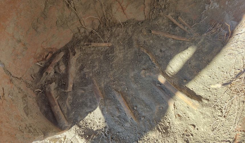 Denizli'de insana ait olduğu anlaşılan kemik parçaları bulundu