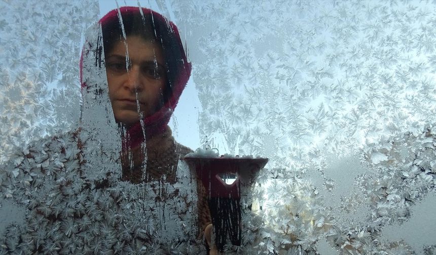 Erzurum, Ardahan ve Kars'ta soğuk hava ile sis etkili oluyor