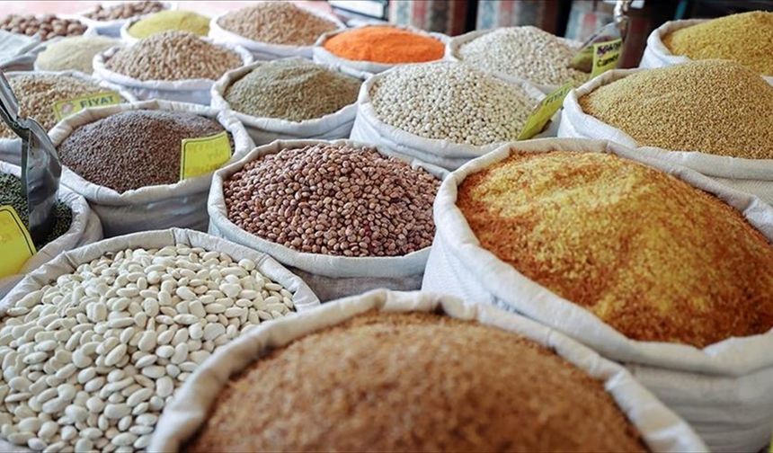 Güneydoğu Anadolu'nun hububat ihracatı 10 ayda 2,9 milyar dolara ulaştı