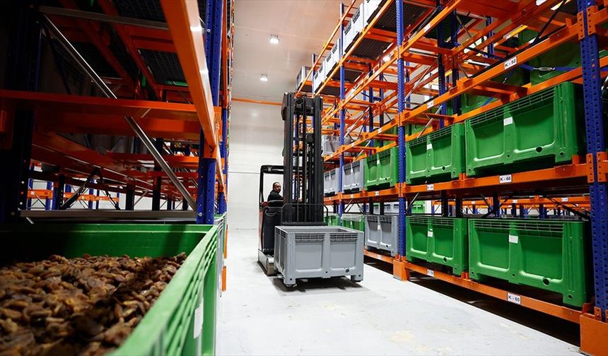 Malatya kayısısı lisanslı depo sayesinde dünya pazarındaki yerini korudu