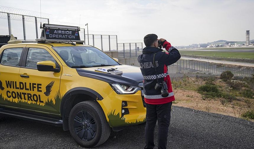Sabiha Gökçen Havalimanı'nda uçuş güvenliği için yaban hayatı 7 gün 24 saat izleniyor