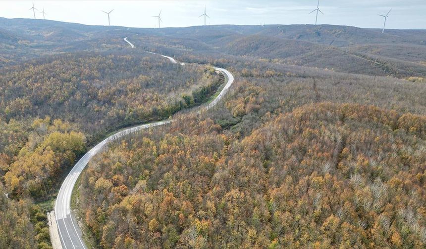 Tekirdağ'da ormanlar sonbahar renklerine büründü