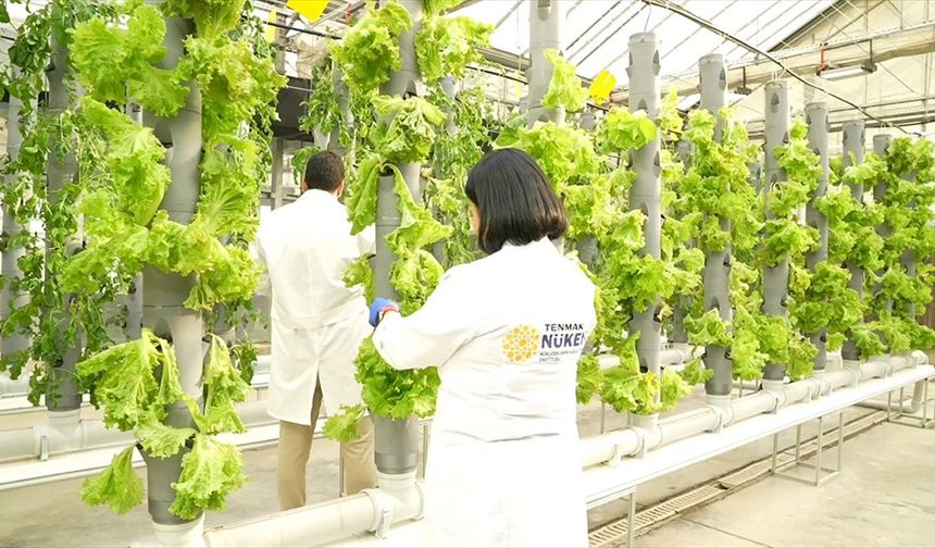 TENMAK, yiyeceklerin raf ömrünü uzatan gıda teknolojisi geliştiriyor