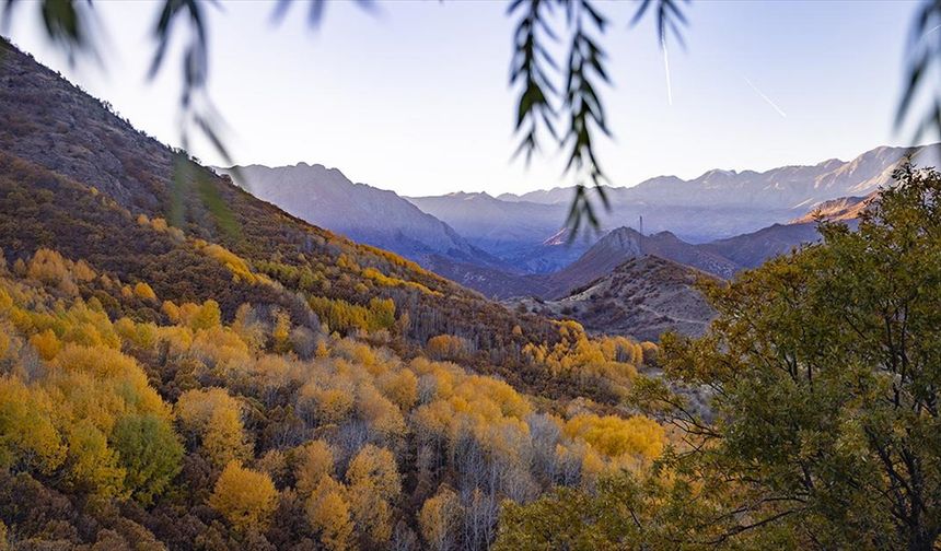 Tunceli'nin Salördek ormanları sonbaharda doğayla buluşmak isteyenleri ağırlıyor