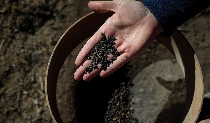 Van'daki kazılarda 5 bin yıllık olduğu değerlendirilen karbonlaşmış arpa taneleri bulundu