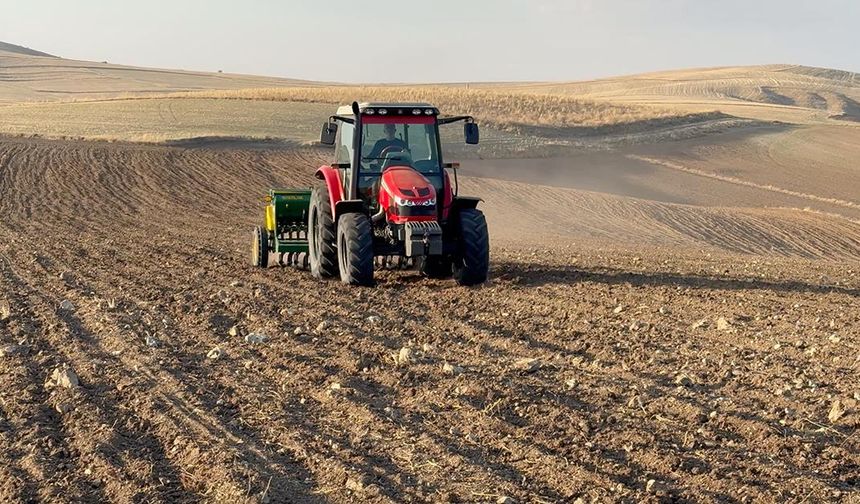 Yozgat'ta kuraklık nedeniyle buğday ekimi kasım ayına sarktı