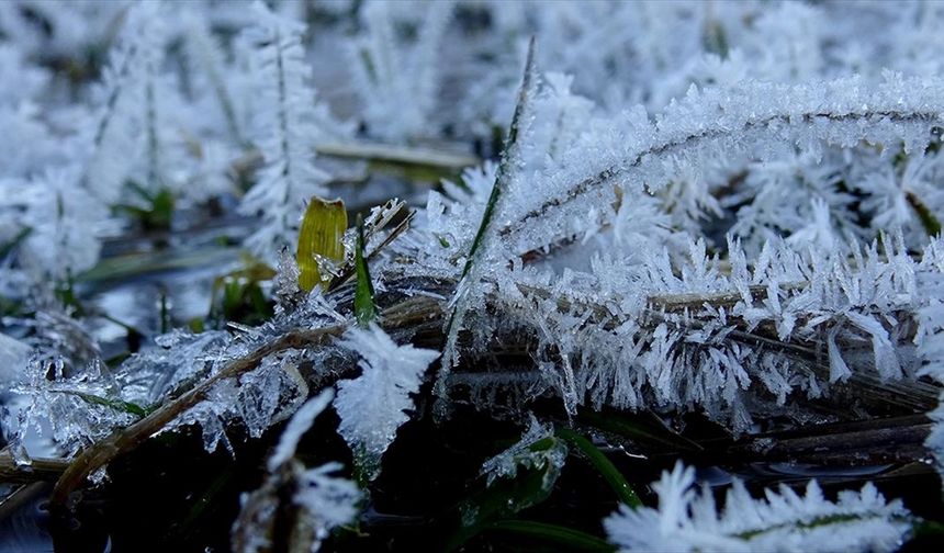 Kars'ta soğuk hava etkili oluyor