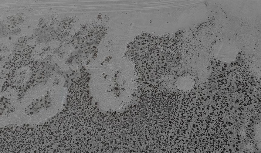 Tamamen kuruyan Seyfe Gölü Kuş Cenneti sessizliğe büründü