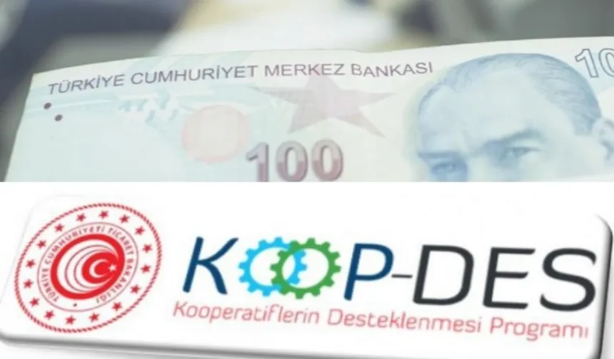 KOOP-DES Yönetmeliği'nde değişiklik Resmi Gazete'de