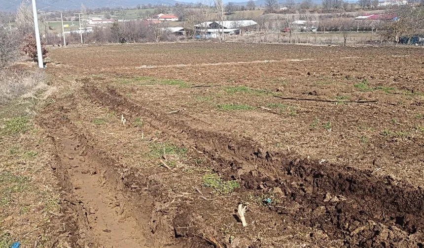 Pazaryeri'nde 'yüksek gerilim' tarım arazilerini zora soktu!